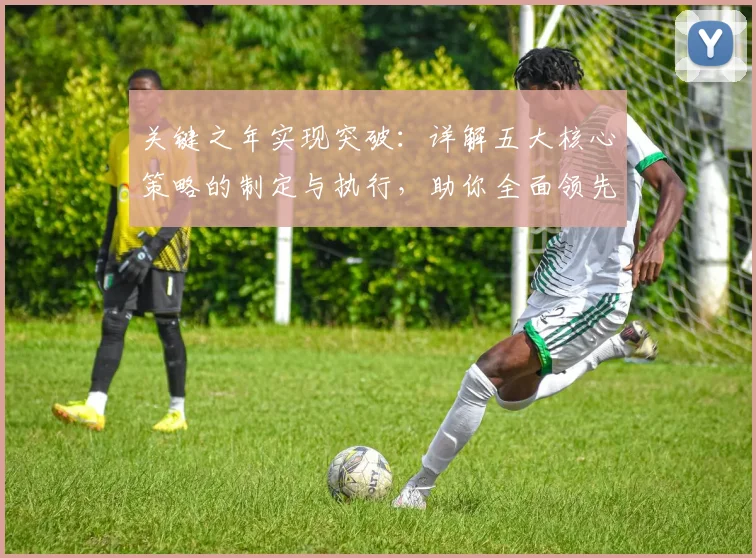 关键之年实现突破：详解五大核心策略的制定与执行，助你全面领先
