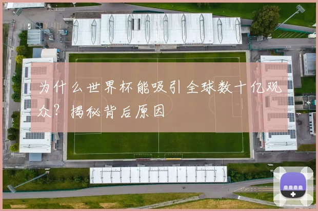 为什么世界杯能吸引全球数十亿观众？揭秘背后原因
